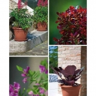 catalogo_lhicum_2018_1-p041