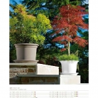 catalogo_lhicum_2018_1-p042