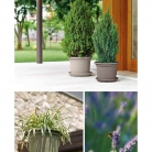 catalogo_lhicum_2018_1-p043