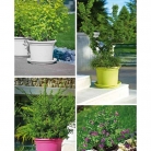 catalogo_lhicum_2018_1-p044