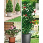 catalogo_lhicum_2018_1-p045