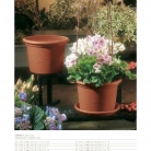 catalogo_lhicum_2018_1-p046