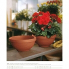 catalogo_lhicum_2018_1-p049