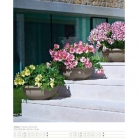 catalogo_lhicum_2018_1-p050