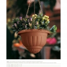 catalogo_lhicum_2018_1-p053