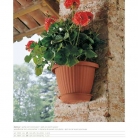 catalogo_lhicum_2018_1-p055