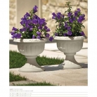 catalogo_lhicum_2018_1-p056