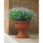 catalogo_lhicum_2018_1-p057