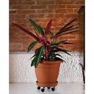 catalogo_lhicum_2018_1-p063