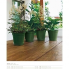 catalogo_lhicum_2018_1-p066