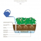 catalogo_lhicum_2018_1-p070