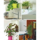 catalogo_lhicum_2018_1-p089