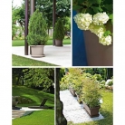 catalogo_lhicum_2018_1-p091