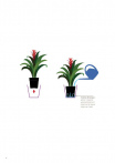 catalogo_mitu_2018_1-p006