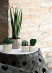 catalogo_mitu_2018_1-p010