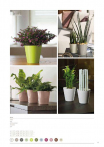 catalogo_mitu_2018_1-p013