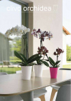 catalogo_mitu_2018_1-p014