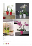 catalogo_mitu_2018_1-p015
