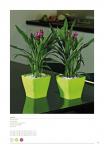 catalogo_mitu_2018_1-p021