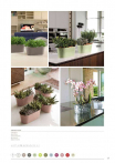 catalogo_mitu_2018_1-p025