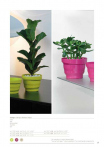 catalogo_mitu_2018_1-p031