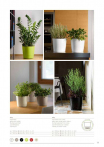 catalogo_mitu_2018_1-p035