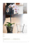 catalogo_mitu_2018_1-p043