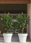 catalogo_mitu_2018_1-p056