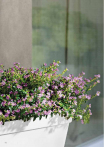 catalogo_mitu_2018_1-p064
