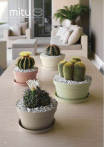 catalogo_mitu_2018_1-p072