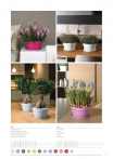 catalogo_mitu_2018_1-p073