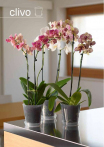 catalogo_mitu_2018_1-p074