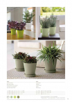 catalogo_mitu_2018_1-p075