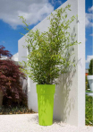 catalogo_mitu_2018_1-p085