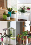 catalogo_mitu_2018_1-p125