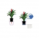 catalogo_mitu_2018_1-p006