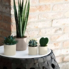 catalogo_mitu_2018_1-p010