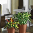 catalogo_mitu_2018_1-p012