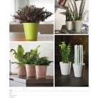 catalogo_mitu_2018_1-p013