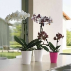 catalogo_mitu_2018_1-p014