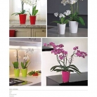 catalogo_mitu_2018_1-p015