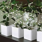 catalogo_mitu_2018_1-p016