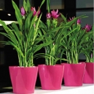 catalogo_mitu_2018_1-p018