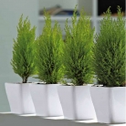 catalogo_mitu_2018_1-p020