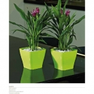 catalogo_mitu_2018_1-p021