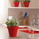 catalogo_mitu_2018_1-p022