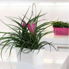 catalogo_mitu_2018_1-p024