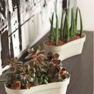 catalogo_mitu_2018_1-p026