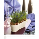 catalogo_mitu_2018_1-p027
