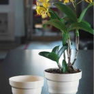 catalogo_mitu_2018_1-p030